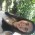 Imagen de Lorena Pintos Lacabanne
