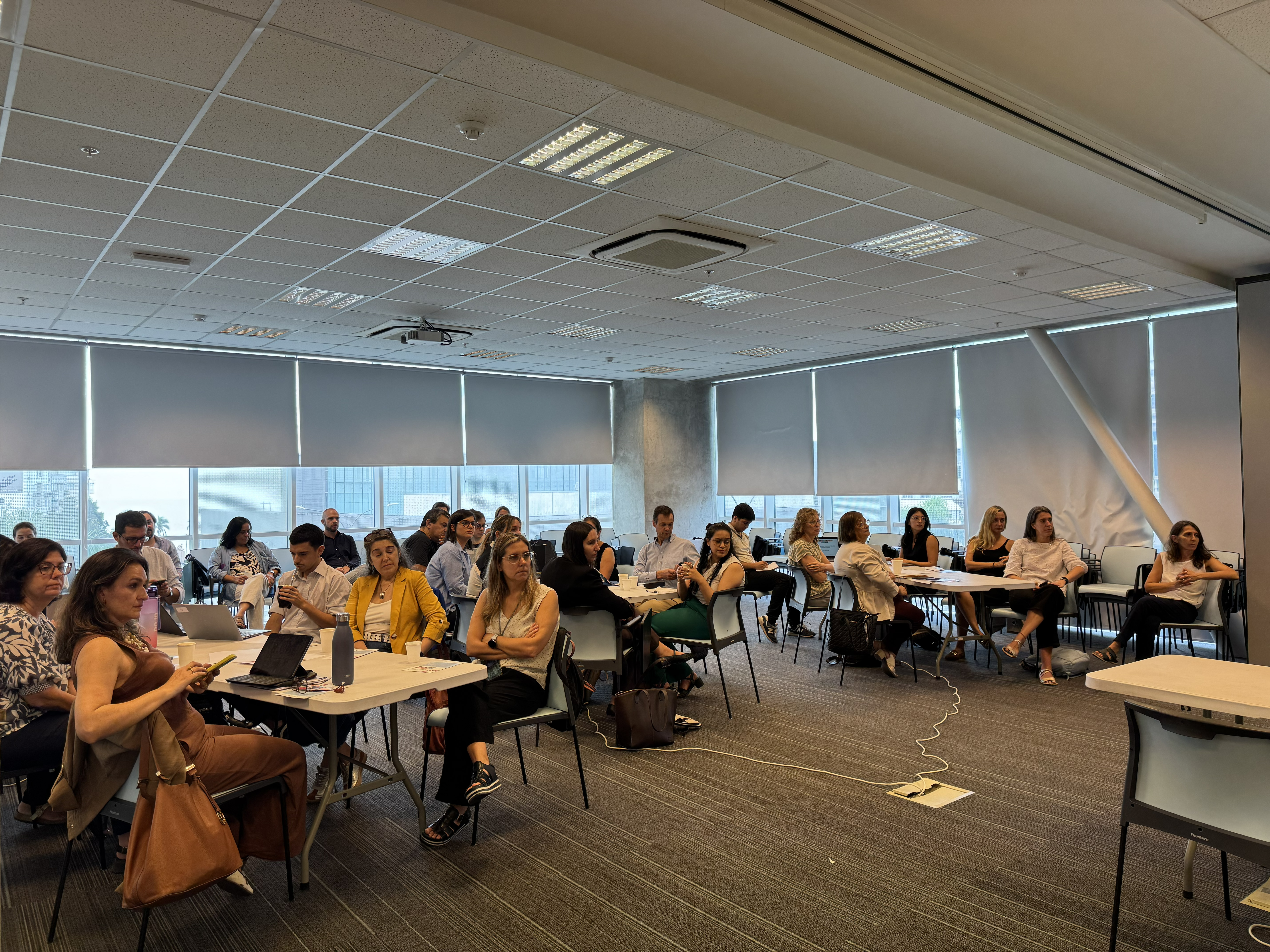 Descripción accesible 1