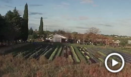 Paysandú agroecológico