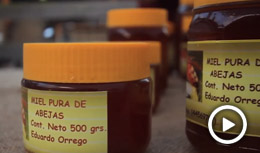 Rocha emprende